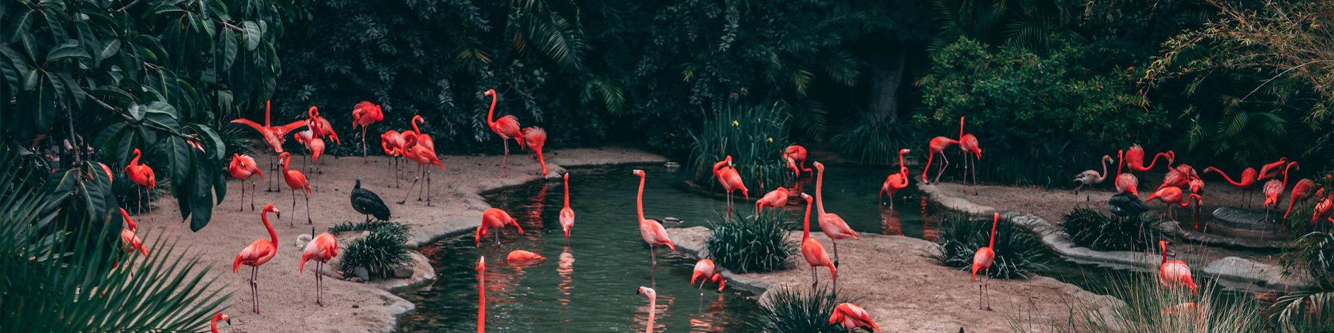 青海方揚(yáng)國(guó)際旅行社有限公司駐馬店學(xué)院路店