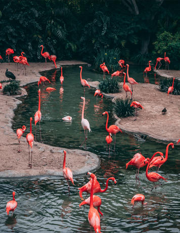 熱門(mén)景區(qū) 2